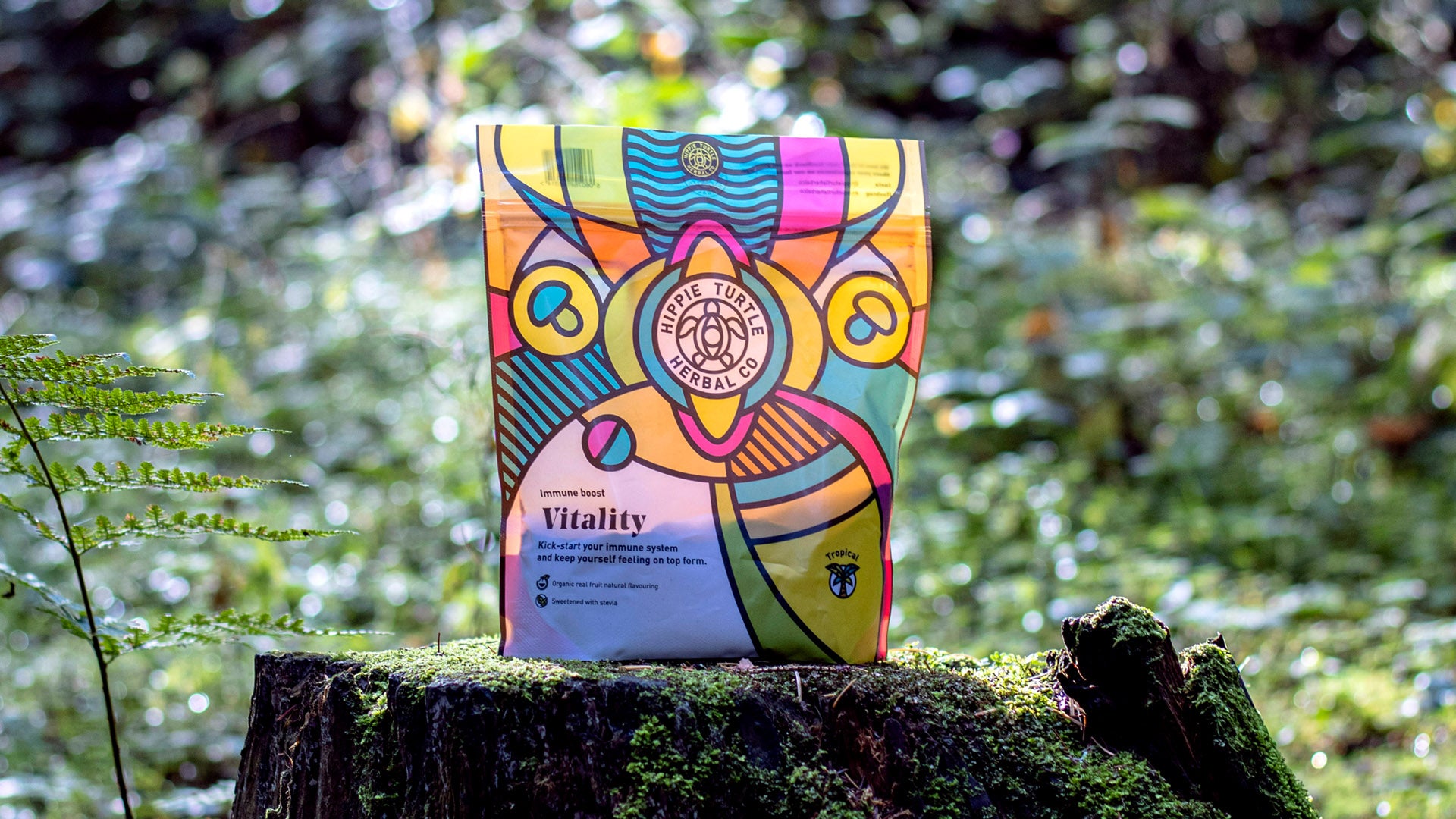 vitality immune support powder containing medicinal mushroom blend