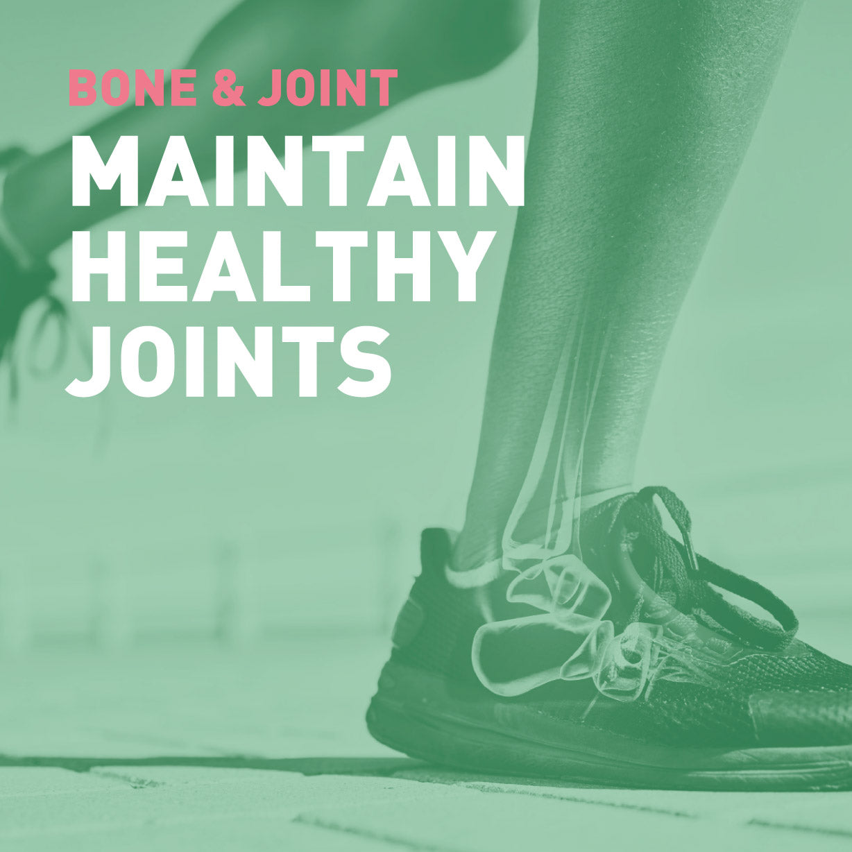 Marine collagen gummies with bitamin D, vitamin E, calcium and turmeric to help maintain healthy joints