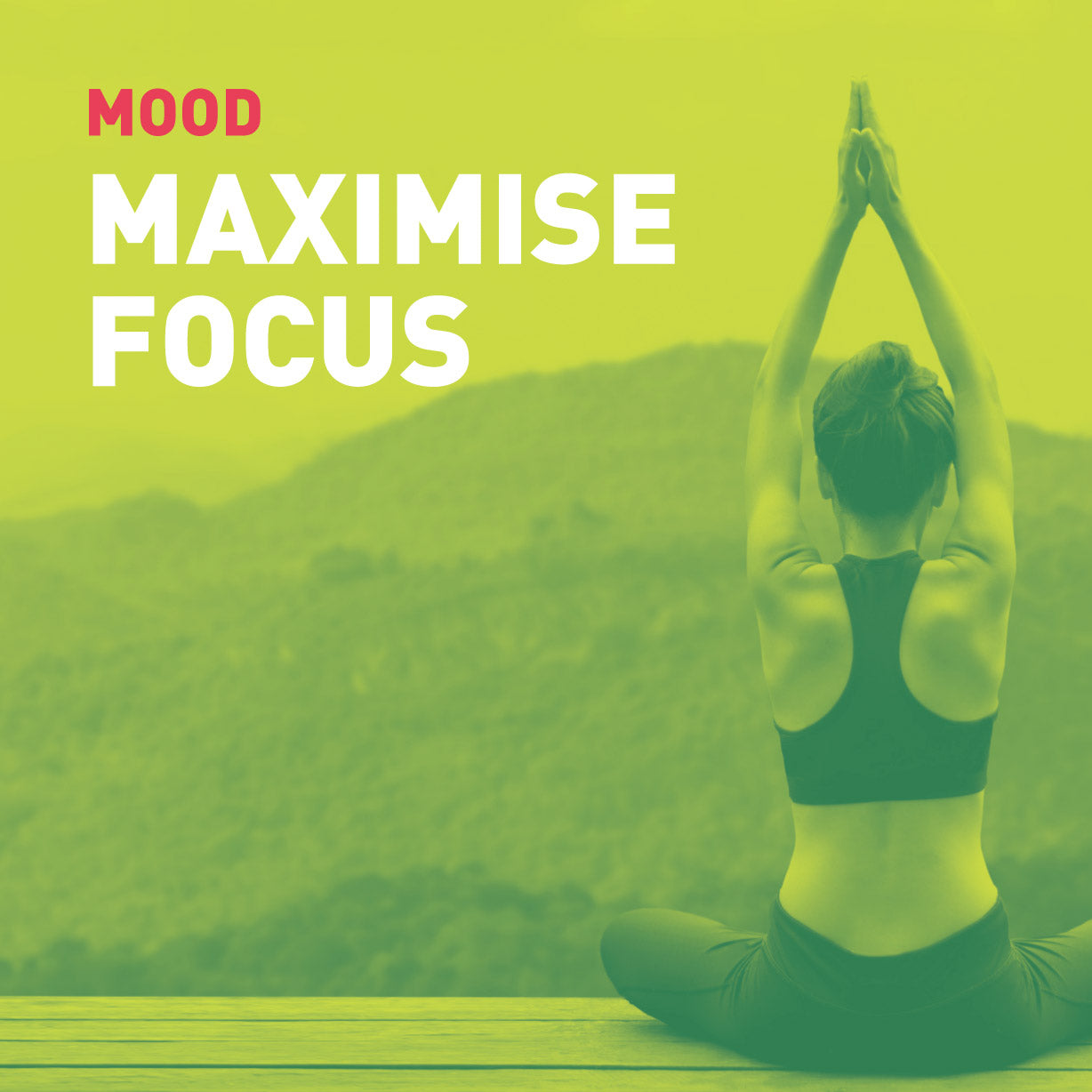 Chewable Ashwaganha supplement gummies to help maximise focus with additional B vitamins, rhodiola and L theanine