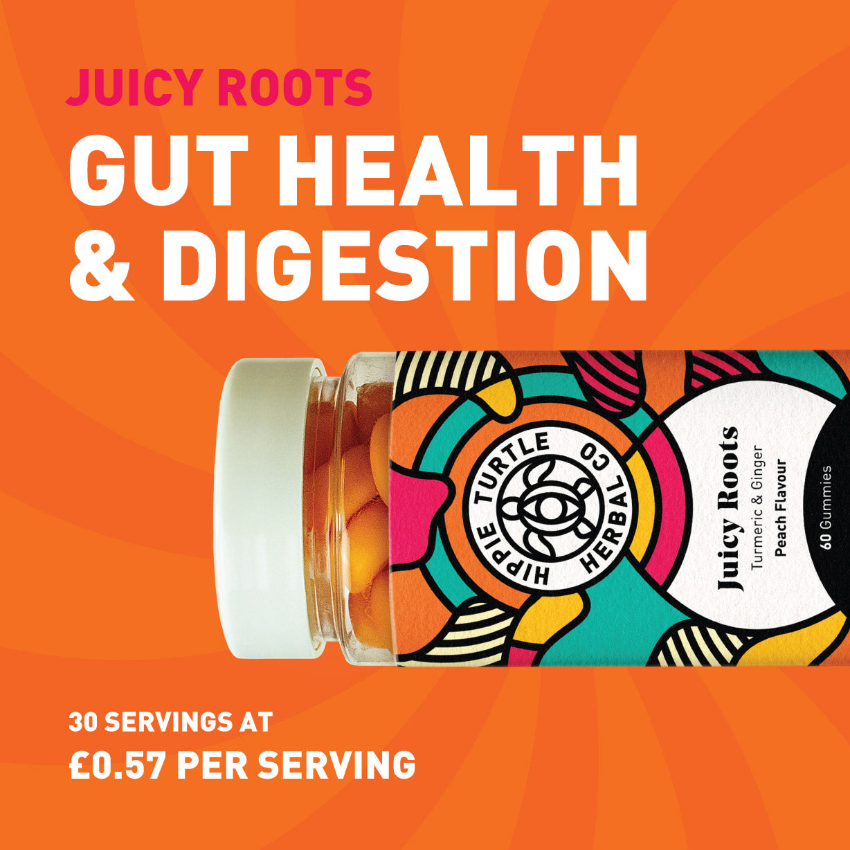 Gut health and digestion supplement in chewable gummy supplement. Hippie turtle herbal co premium turmeric and ginger gummies