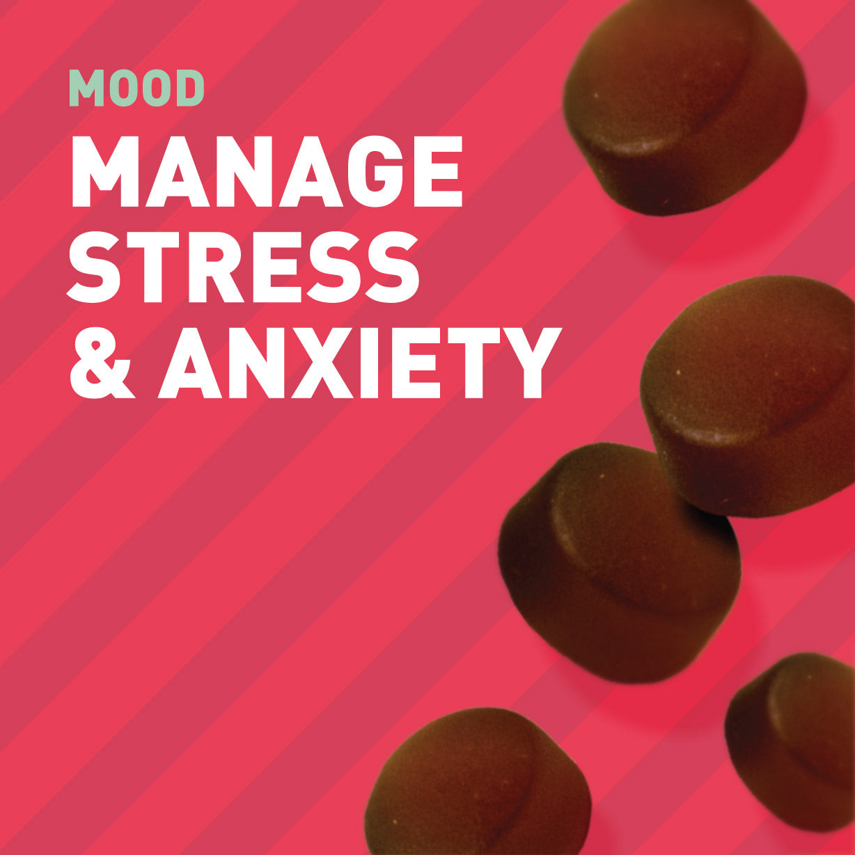 Gummies for stress and anxiety containing Ashwagandha, rhodiola, l theanine and b vitamins